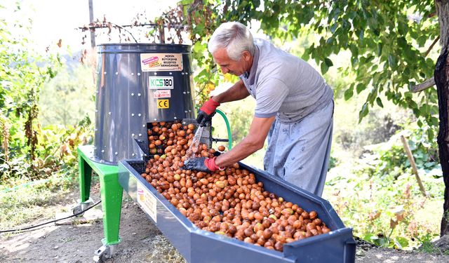 Belediyeden üreticilere 'ceviz soyma makinesi' desteği