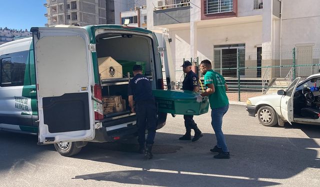 Kahramanmaraşlı Kadın Katledildi, Kocası Kendi Canına da Kıydı