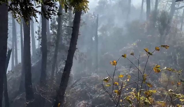 Orman Yangınına Müdahale Çevre İllerin Desteğiyle Sürüyor