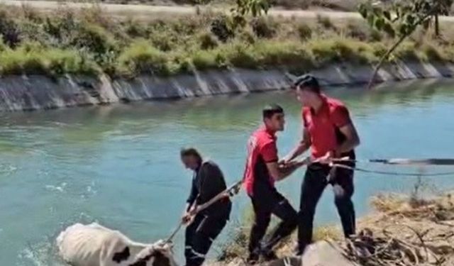 Konyaaltı Meclisi’nde ‘eşitlik’ vurgusu