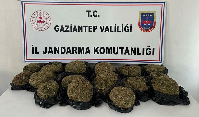 Yolcu Otobüsünde 18.5 Kilogram Skunk Ele Geçirildi