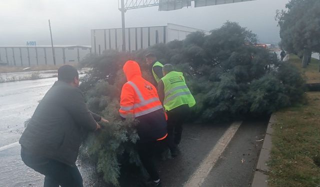 Kahramanmaraş'ta fırtına ve tipi hayatı olumsuz etkiliyor