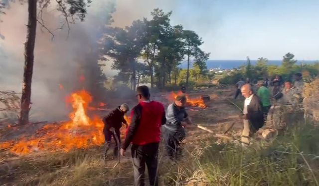 Hava Aracı Ormanlık Alana Düştü, Patlamayla Alevler Yükseldi