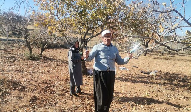 Kahramanmaraş'ta Budama Sezonu Başladı