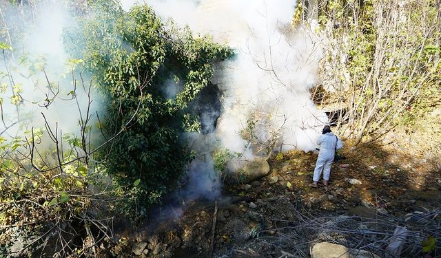 Kahramanmaraş'ta Kapsamlı İlaçlama Çalışması