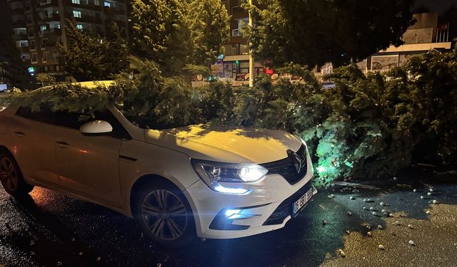 Kahramanmaraş'ta Korkutan Görüntüler: Fırtına Anı Kamera'da