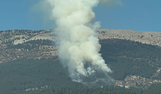 Kahramanmaraş'ta Orman Yangını: Ekipler Müdahale  Ediyor