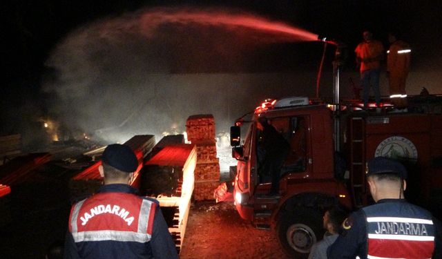 Kereste Fabrikasında Çıkan Yangın Paniğe Yol Açtı