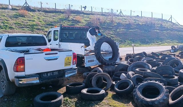 Kahramanmaraş'ta Halk Sağlığı İçin Zararlılarla Mücadeleye Devam Ediyor