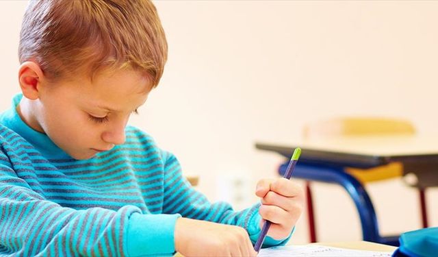 Anayasa Mahkemesi, otizmli çocuğun eğitim yetersizliğini "hak ihlali" saydı