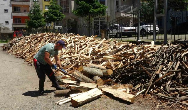 Odun kırarak ayda 80 bin TL kazanan Trabzonlu adamın hikayesi