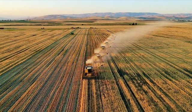 Kahramanmaraş Depremi Büyüklüğünde Tarımsal Afet: 65 İlde Zirai Don Felaketi