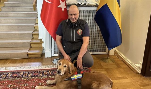 Kahramanmaraş Depreminin Kahraman Arama Kurtarma Köpeği Killian Vefat Etti