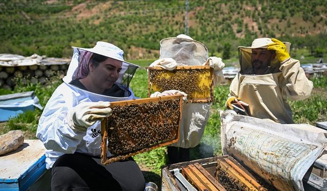 Şehir hayatını bırakarak arıcılığa başlayan çift yılda 2,5 ton bal üretiyor