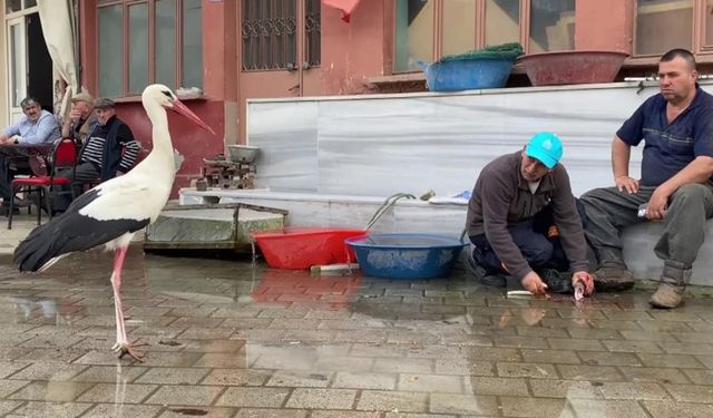 Yaren’in rakibi Bilal Leylek baba oldu