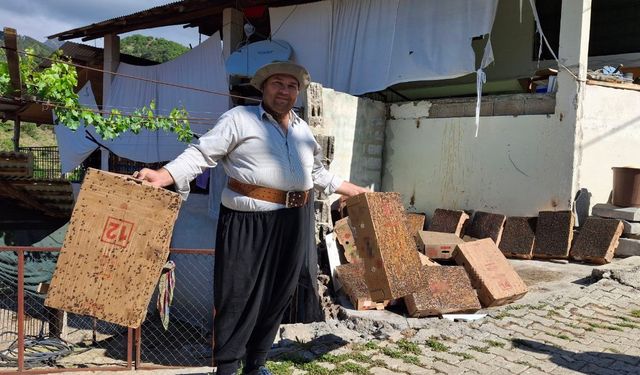 Adana'da Sinekle Mücadelede İlginç Yöntem: Karton ve Fare Yapıştırıcısı ile Binlercesini Yakaladı