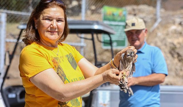 Antalya Doğal Yaşam Parkı’nda Bakıma Alınan Kerkenezler Doğaya Yeniden Salındı