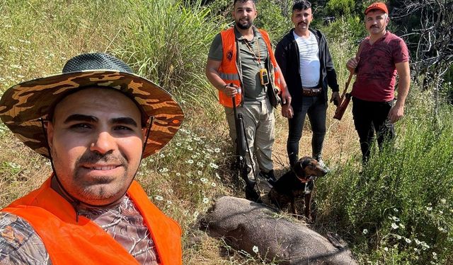 Gündoğmuş'ta Tarım Arazilerine Zarar Veren Domuzlara Karşı Sürek Avı Düzenlendi