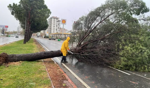 Kahramanmaraş’ta sert rüzgâr ve don uyarısı! Kar serpintisi bekleniyor
