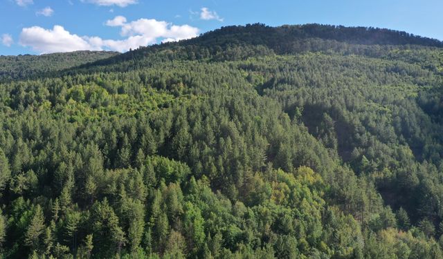 Kahramanmaraş Turizminde Yeni Dönem Başlıyor