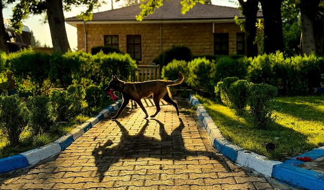Kahramanmaraş’ın Yeni Kahramanı: ŞubAAt Afetlerde Görev Alacak