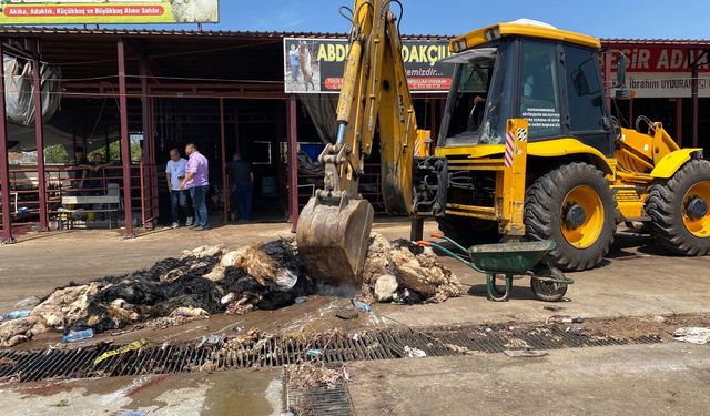 Kahramanmaraş'ta Kurban Atıkları Temizlendi