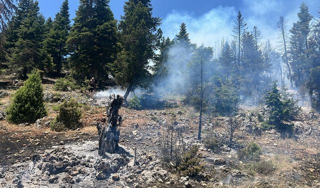 Mersin'in Erdemli ilçesinde orman yangını: Müdahale havadan ve karadan sürüyor