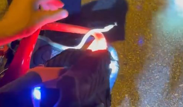 Motosikletin içine giren yılanı tek hamlede çıkardı