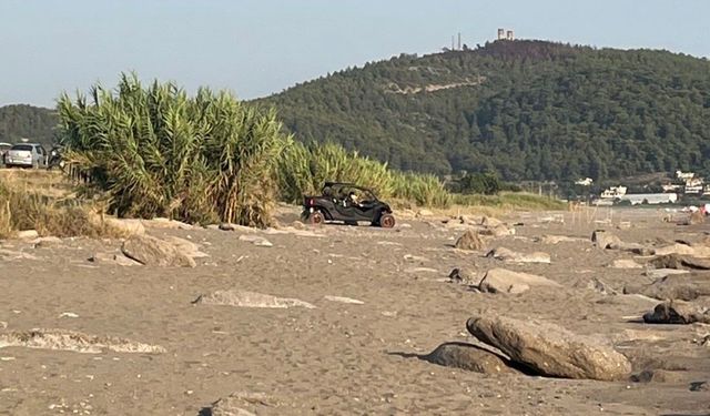 Caretta Caretta Yuvaları Köpek ve Araç Tahribatında