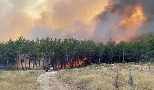 Antalya’da orman yangını