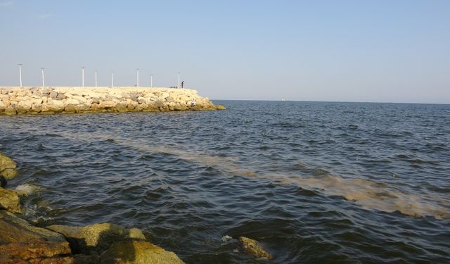 Mersin sahillerinde deniz kirliliği alarm veriyor