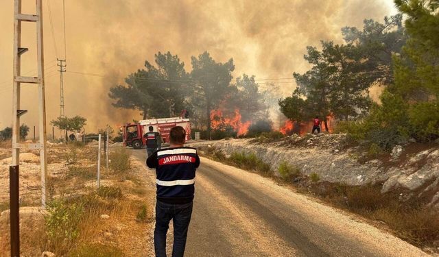 Orman Yangınında Jandarma Hızlı Müdahale Sağladı