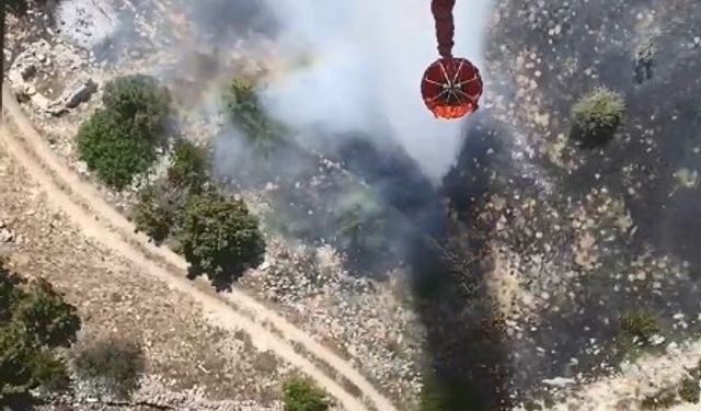 Silifke’de bahçe yangını havadan söndürüldü