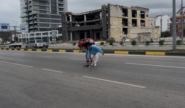 Trafikte mahsur kalan kediyi şoför böyle kurtardı
