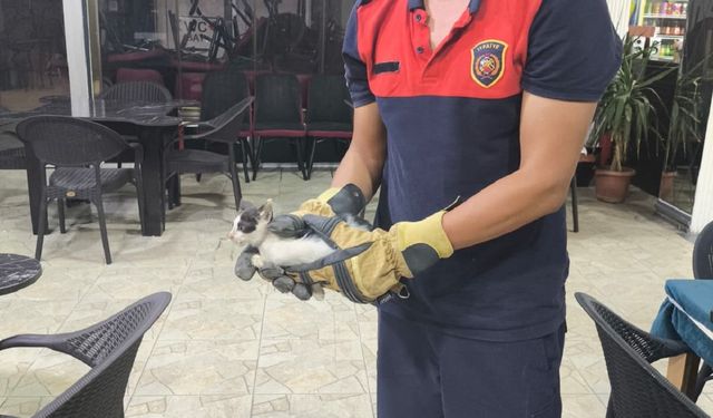 Miyavlama Sesi Hayat Kurtardı: Kedi Sıkıştığı Yerden Çıkarıldı