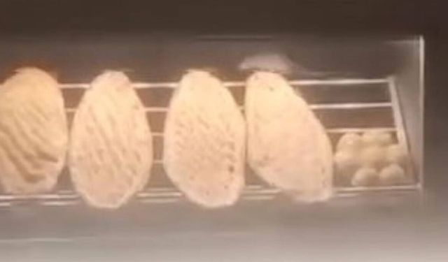 Fırında görüntülenen fare, Elazığ’da gıda güvenliğini sarsıyor