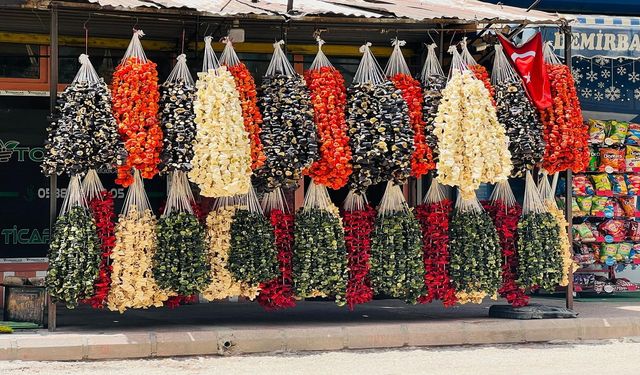 Kahramanmaraş’ta Kuruluk Sezonu Açıldı, Fiyatlar Belli Oldu