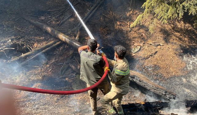 Kahramanmaraş’ta Sarp Arazide Yangınla Zorlu Mücadele