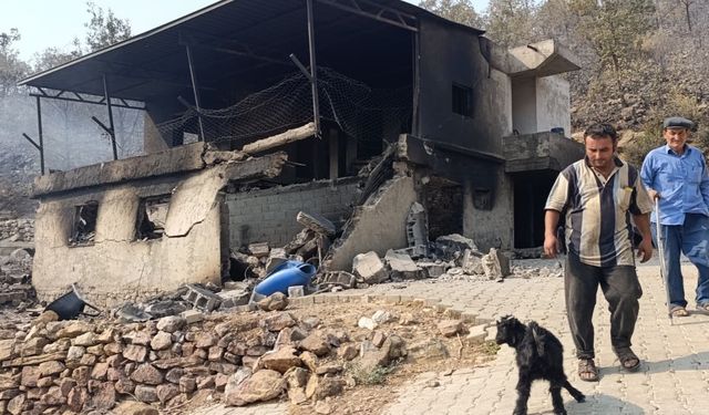 Mersin Silifke’de orman yangını evleri ve hayvanları vurdu