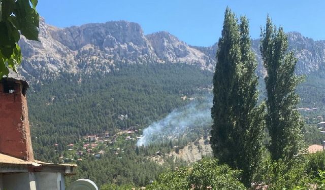 Adana Pozantı’da Orman Yangını Kısa Sürede Söndürüldü