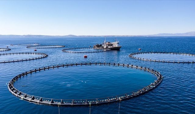 Kahramanmaraş'ta su ürünleri destekleri artırıldı
