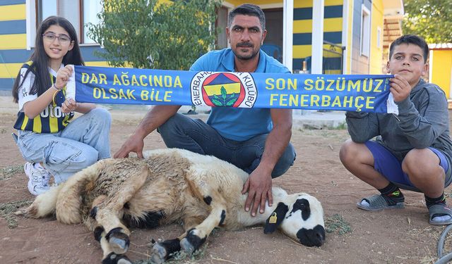 Fenerbahçe Tutkusu Elazığ’da Gündem Oldu: Adanan Hayvan Kesildi