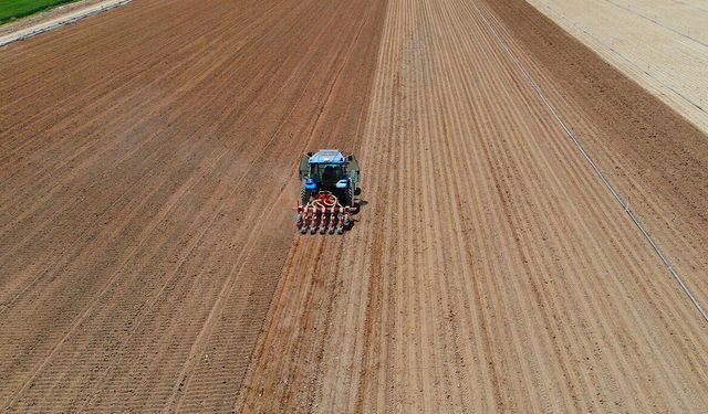 Kiralık tarla fırsatı! Uzmanlardan dolandırıcılık uyarısı