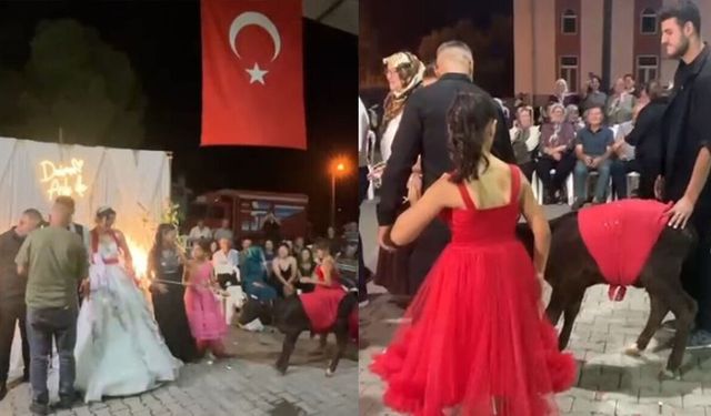 Muğla’da Düğün Gündem Oldu: Eniştenin Şaşırtan Hediyesi
