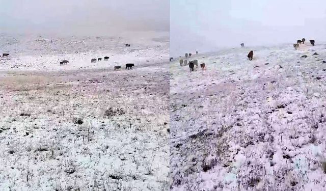 Erzurum’a Mevsimin İlk Karı Yağdı, Kartpostallık Görüntülere Sahne Oldu