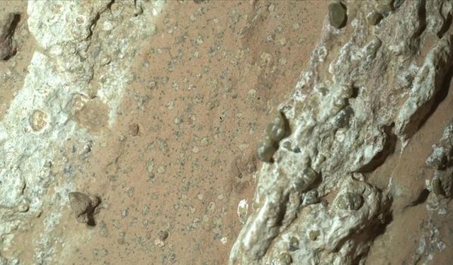 Mars’ta Keşif! Leopar Desenli Kaya, NASA’ya Göre Yaşam İşareti mi?