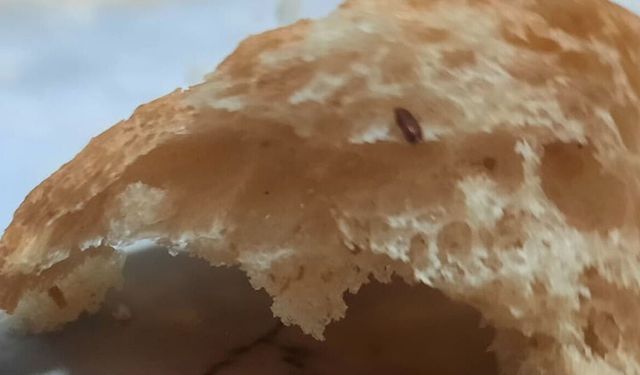 Halk Ekmek’in içerisinden çıkan fare dışkısı ve un kurdu yeni doğum yapan anneyi sütten kesti