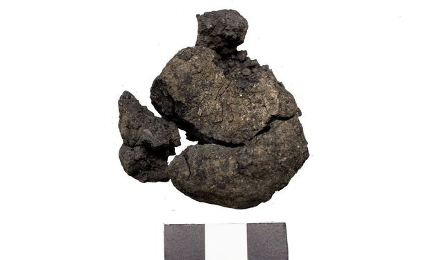 4 bin yıllık nohut ve 8 bin 600 yıllık ekmek kalıntıları gün yüzüne çıkarıldı