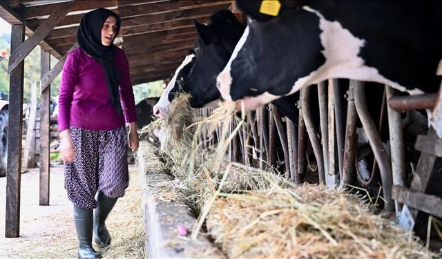Düzce’de kadın girişimci devlet desteğiyle çiftliğini büyüttü