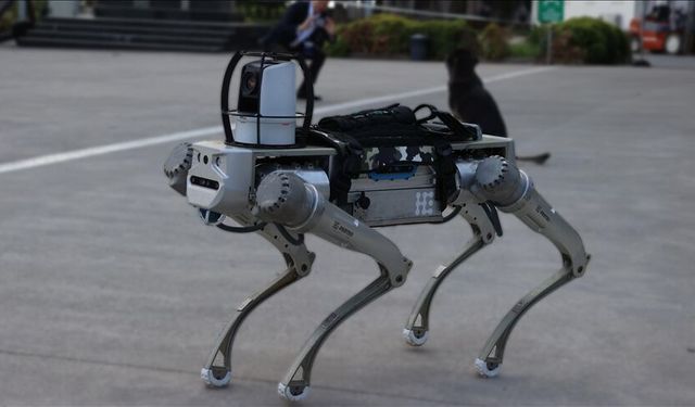Milli robot köpek PROTEO 2026’da sahaya çıkıyor: Askerin yeni yapay zekâ destekli yardımcısı